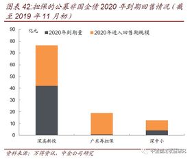 透過城投與非國(guó)企債擔(dān)保，解析專業(yè)擔(dān)保公司信用風(fēng)險(xiǎn)跟蹤