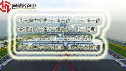 肇慶進出口公司做賬報稅全指南 貿(mào)易代理操作要點解析